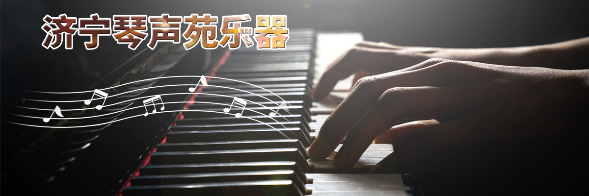 濟(jì)寧琴聲苑樂(lè)器有限公司